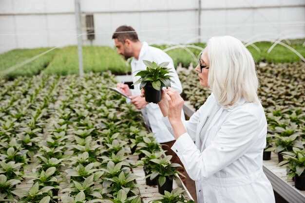 Trouver le financement adapté à votre projet agricole responsable